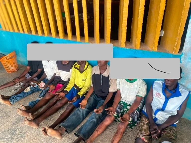 Osun Police Arrest Six Suspected Cultists in Osogbo Raids, Recover Drugs and Cash